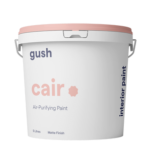 [Clearance] Gush Cair Interior Paint